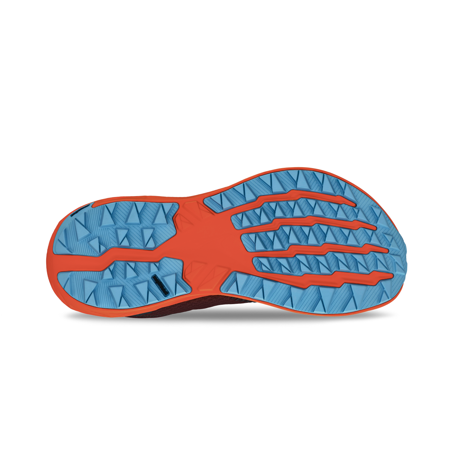 Altra Women's Experience Wild 2