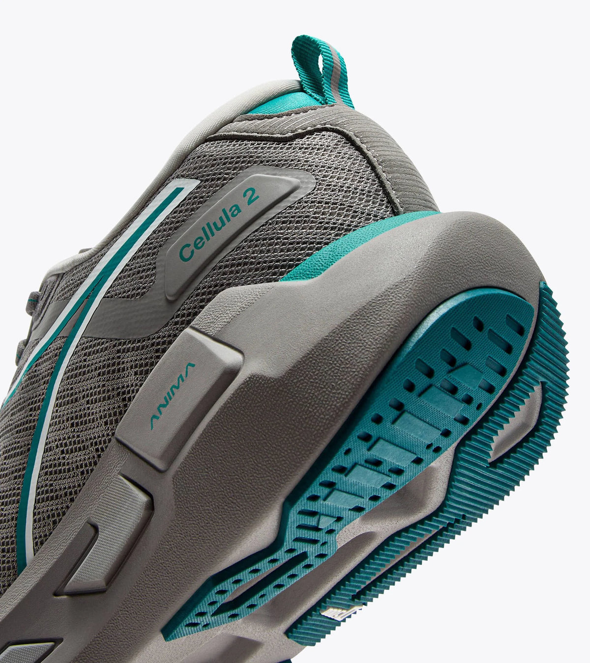 Men's Cellula 2