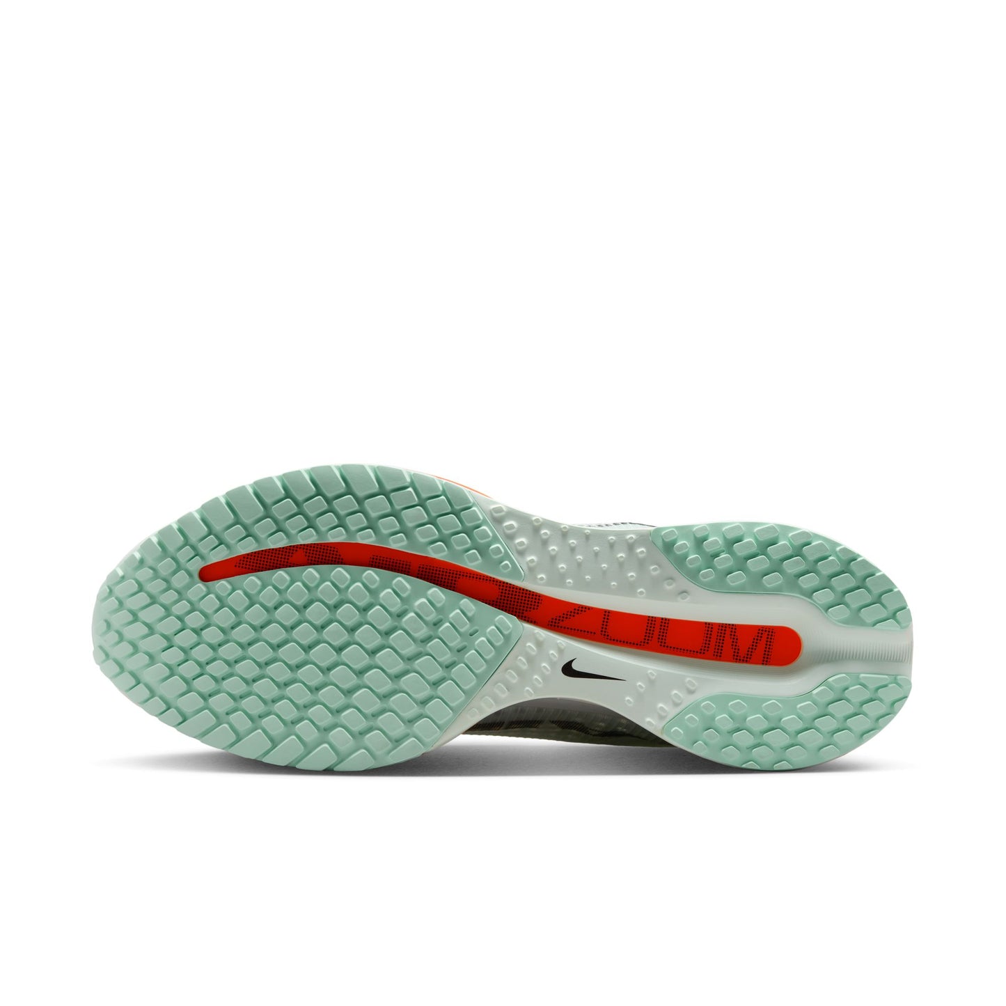 Nike Men's Pegasus Premium