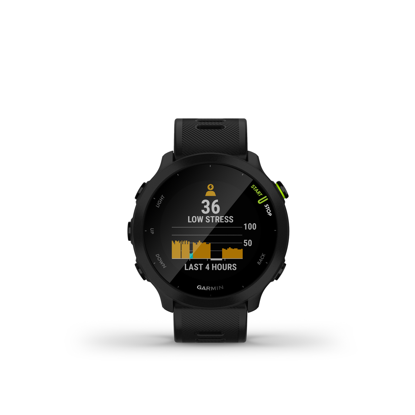 Forerunner 55